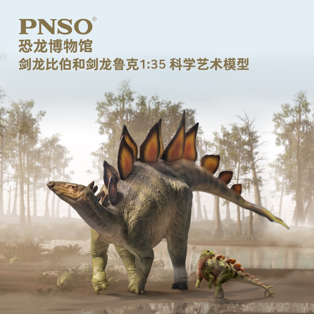 PNSO恐龙博物馆剑龙比伯和剑龙鲁克1:35科学艺术模型儿童