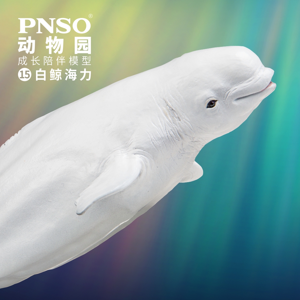 pnso成长模型儿童益智礼物手办