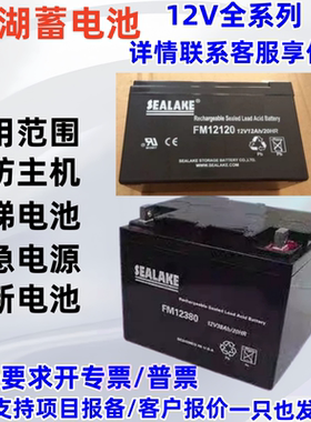 SEALAKEFM12220纽福克斯12V17AH18AH20AH22AH备用电源