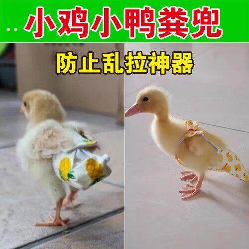 小鸡粪兜屎兜粪便袋尿不湿纸尿裤鹅鸭子屁兜接粪袋宠物用品可调节