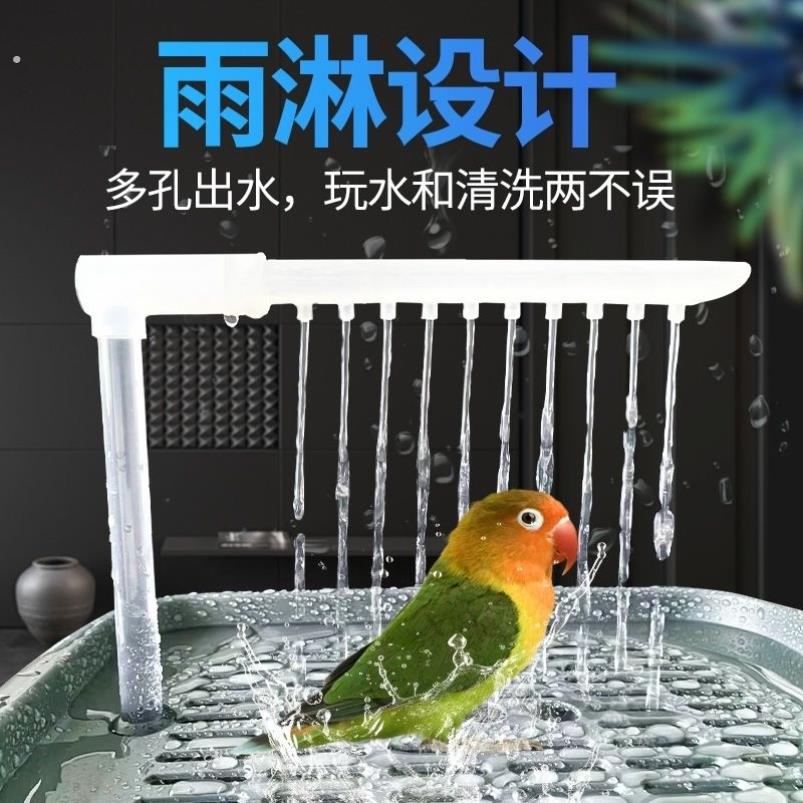 鹦鹉洗澡盆自动循环大号虎皮牡丹玄凤专用浴室洗澡盒子鸟洗澡神器