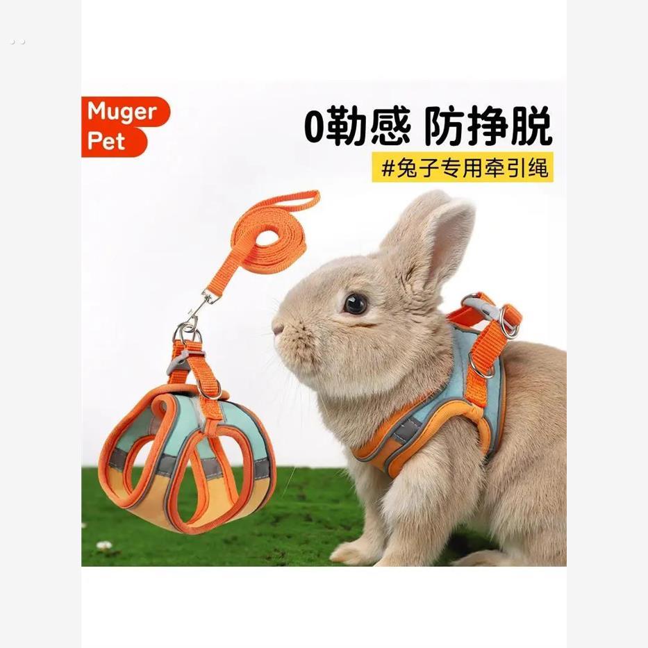 兔子牵引绳遛兔子专用防挣脱溜兔子兔绳子遛兔绳小侏儒兔用品防咬