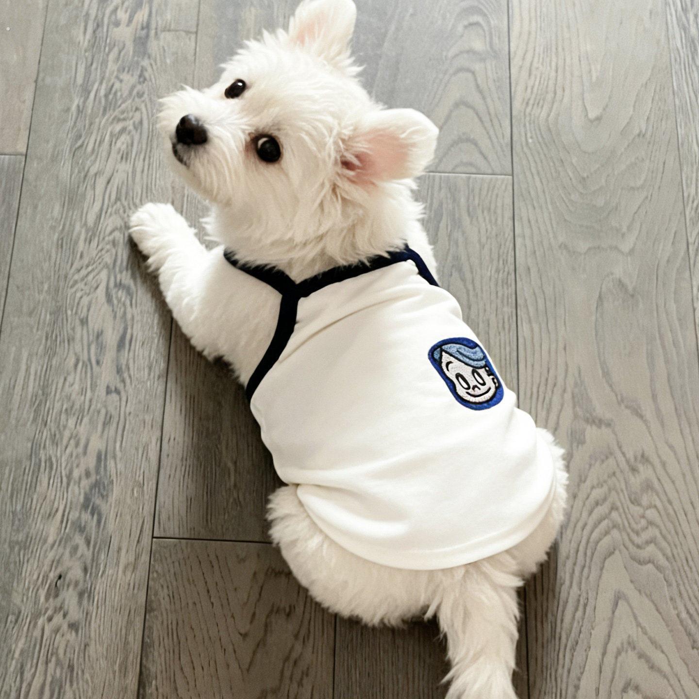 夏天狗狗衣服中小型犬薄款吊带西高地博美雪纳瑞2026新款可爱背心图片