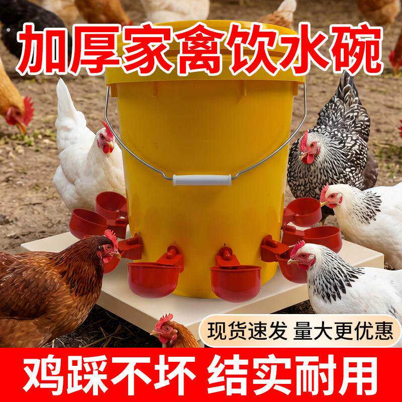 小鸡喝水饮水器养鸡喂水器喂鸡神器家禽鸽水壶鸡鸭鹅用自动饮水碗