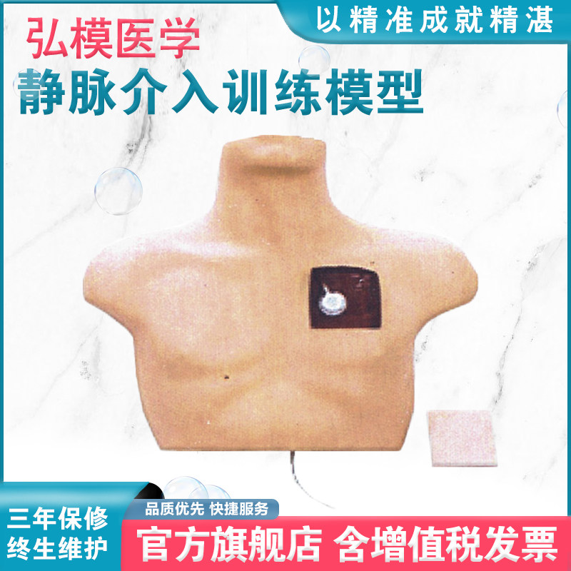 弘模hom/l61静脉介入训练模型成人上半身肘正中静脉穿刺颈内静脉锁骨