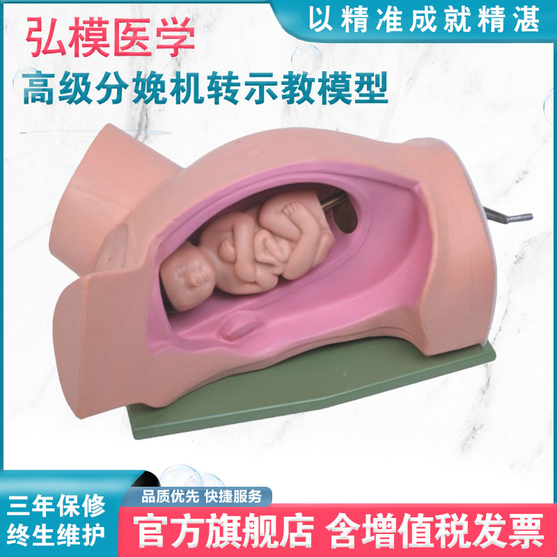 弘模hom/f6高级分娩机转示教模型医学用练习模具机转模拟教学器材演示