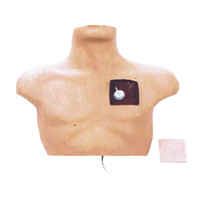 弘模HOM/L61静脉介入训练模型成人上半身肘正中静脉穿刺颈内静脉锁骨下静脉穿刺练习正确穿刺有回血产生