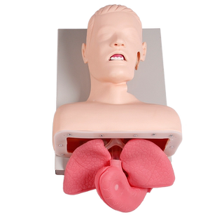 弘模高级电子人体气管插管训练模型(带报警) 成人新生儿婴气管插管模拟人口鼻咽通气管插入急救培训模具
