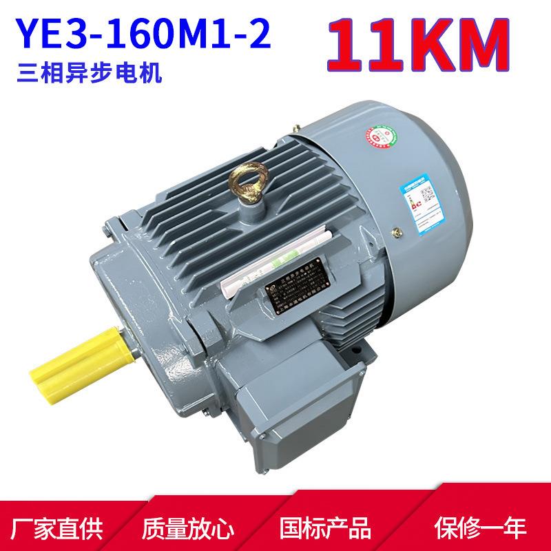 YE3系列马达三相异步电动机YE3-160M1-211W2极三相异步电机