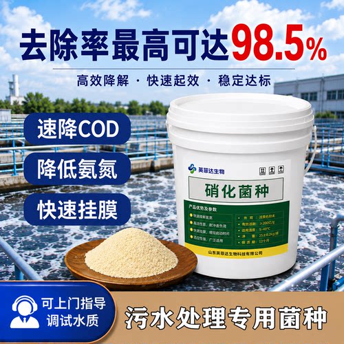 污水处理菌种剂复合降氨氮cod活性好氧厌氧反硝化细菌生化微生物