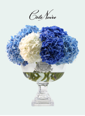 COTE NOIRE 法国香氛花普罗旺斯绣球花家居香薰礼物轻奢