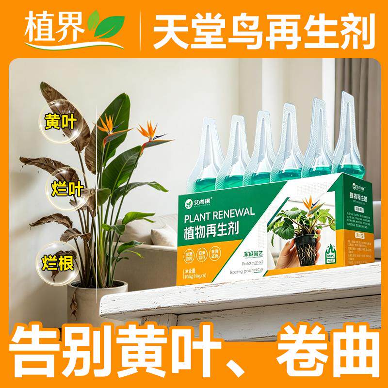 植物型再生剂天堂鸟专用型浓缩营养液黄金葛月季水培多肉盆栽水溶