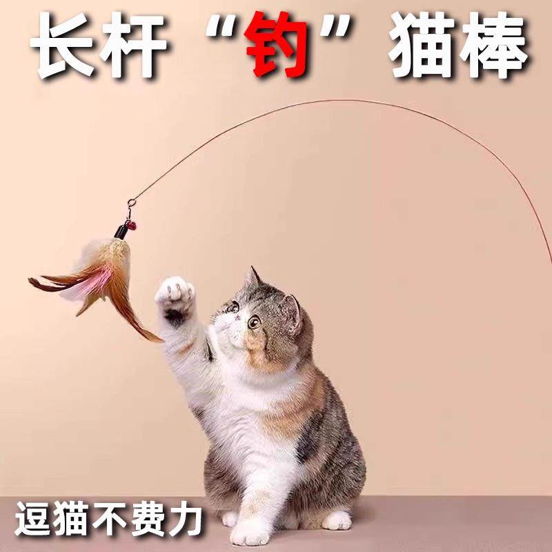 逗猫棒猫咪玩具自嗨解闷幼猫钢丝长杆羽毛小铃铛耐咬幼猫宠物玩具,宠物/宠物食品及用品,逗猫棒,淘宝优惠券,粉丝福利购,淘宝优惠卷