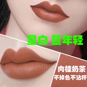 防水哑光官方旗舰店海盐 肉桂奶茶色豆沙口红不掉色不沾杯大牌正品