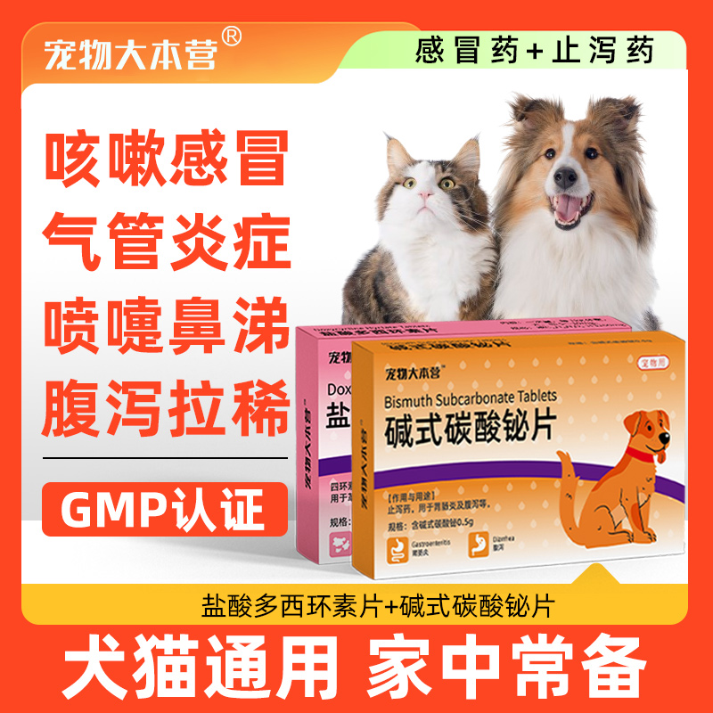 宠物大本营猫咪消炎药猫鼻支药狗狗感冒药宠物犬止泻打喷嚏流鼻涕