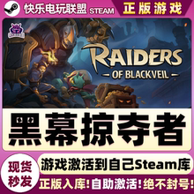 Steam正版黑幕掠夺者 激活码CDKey入库Raiders of Blackveil全DLC