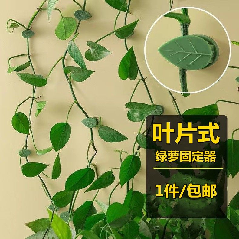 绿萝固定器绿植爬墙用器墙面绿箩固定挂壁卡扣爬藤吸盘攀藤勾夹扣,鲜花速递/花卉仿真/绿植园艺,仿真绿植,淘宝优惠券,粉丝福利购,淘宝优惠卷