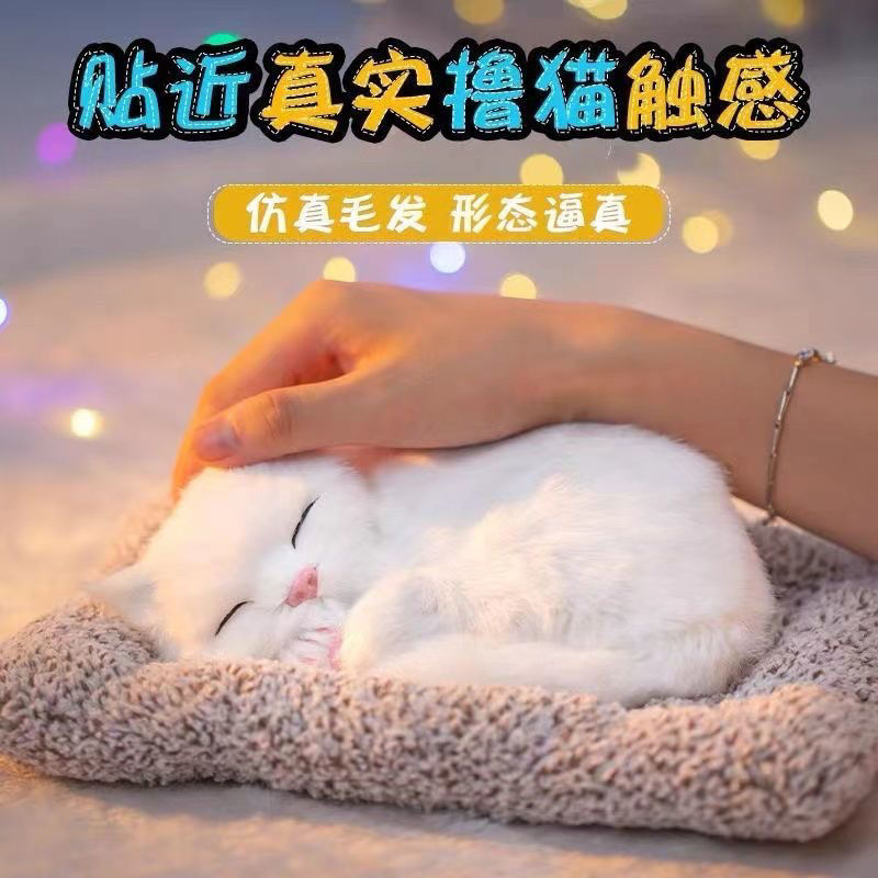 玩具猫猫仿真会叫抱抱布娃娃可爱
