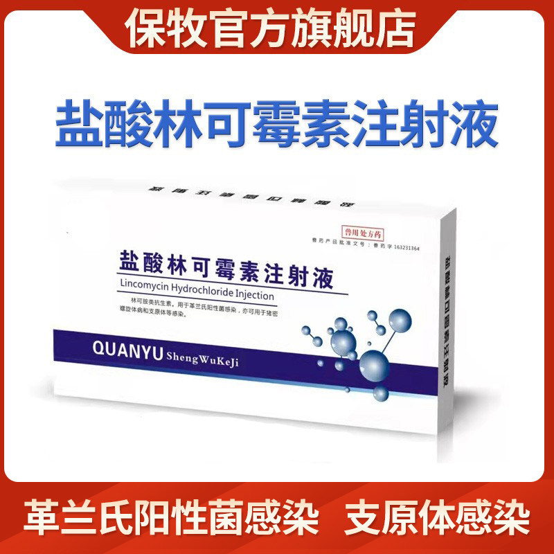 保牧盐酸林可霉素注射兽用液兽药猪牛用羊犬猫消炎产后康注射肺炎