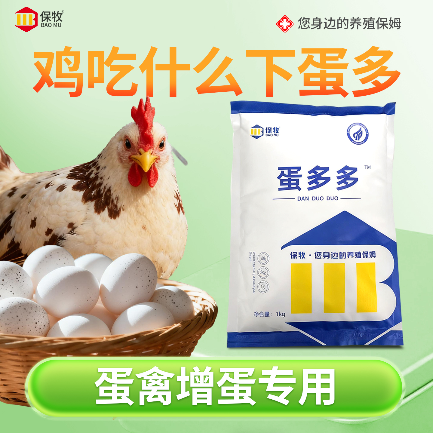 鸡吃什么下蛋多催鸡下蛋鸭鹅禽用蛋多多产蛋王改善软壳蛋质添加剂