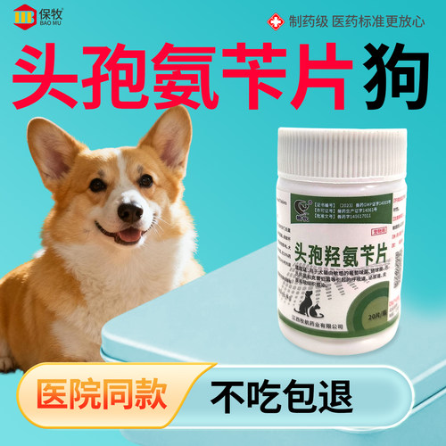 头孢氨苄片狗狗猫咪消炎药专用尿路感染尿道炎皮肤病咳嗽兽药正品