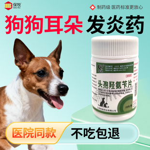 狗狗耳朵发炎药头孢羟氨苄片猫宠物兽用消炎药感冒咳嗽外伤中耳炎