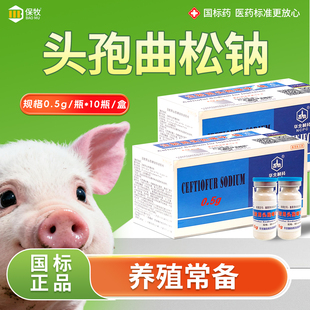 头孢曲松纳注射头孢噻呋钠针剂猪牛羊兽用呼吸道感染产后消炎兽药