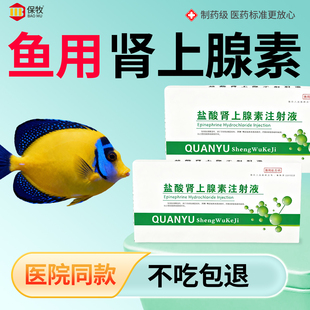 鱼用肾上腺素猫犬羊牛猪兽用增强心率心脏骤停强心急救疫苗强心针