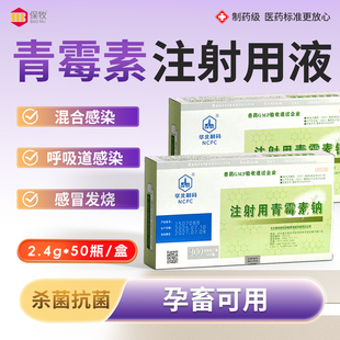 青霉素注射用液兽用猪牛羊鸡鸭鹅用发烧产后抗菌消炎感冒发烧兽药