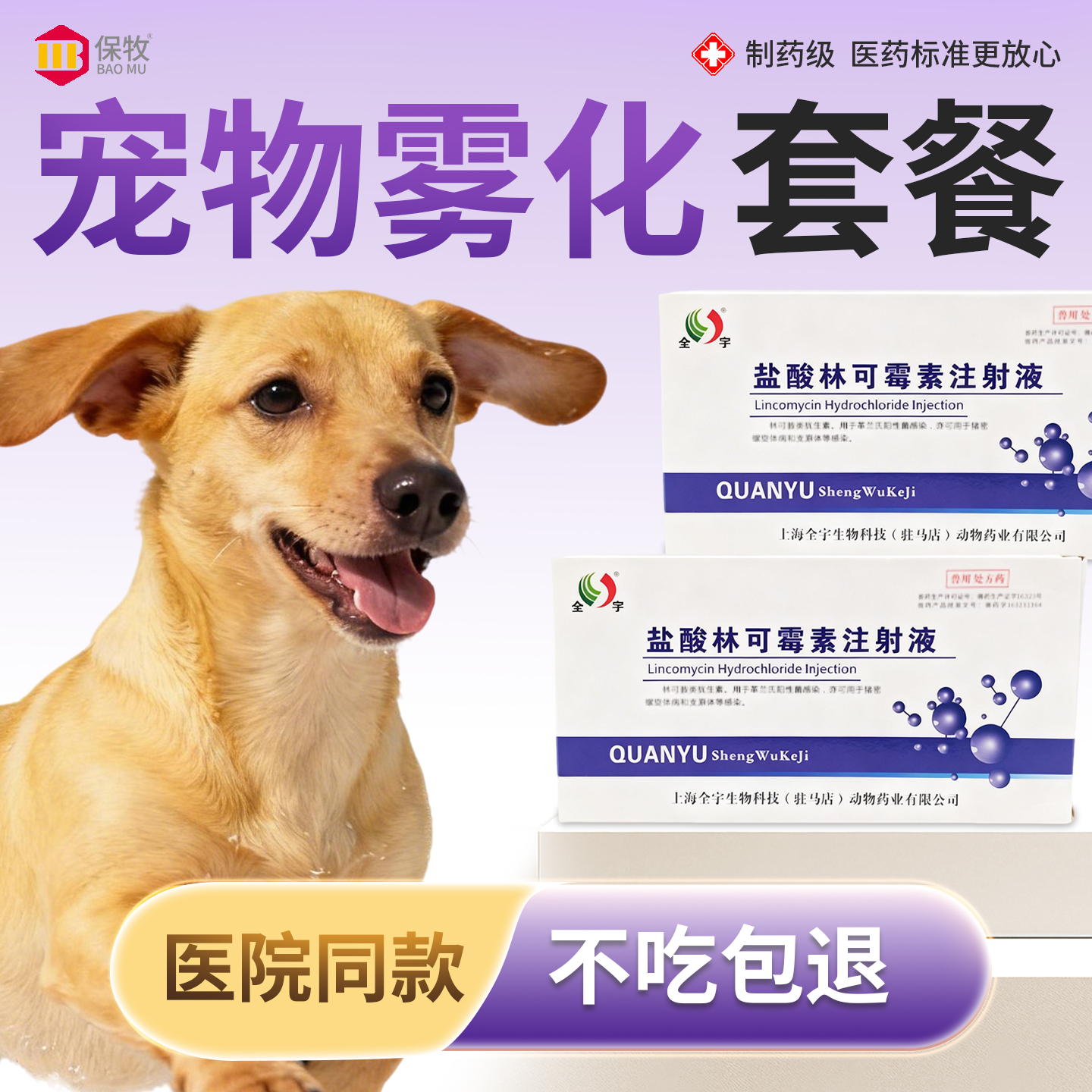 保牧【林可霉素注射剂】发烧炎症