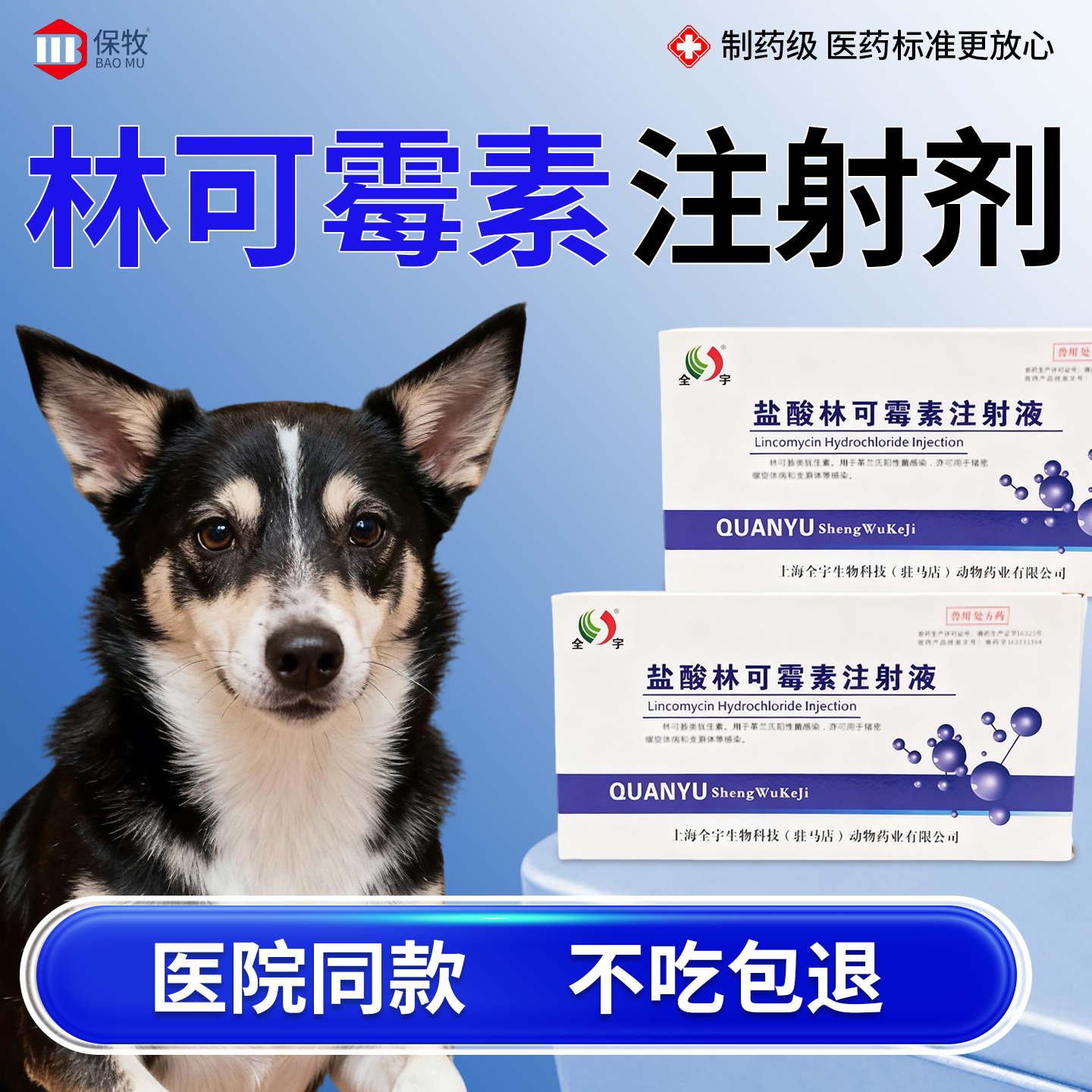 保牧【林可霉素注射剂】咳嗽肺炎