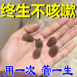 咳嗽止咳贴成人儿童止咳清肺化痰贴咳嗽干咳膏药贴LM 不用二次