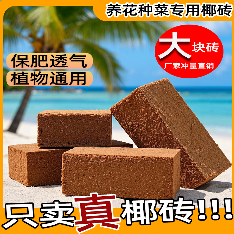 椰砖种菜养花通用椰壳砖乌龟冬眠