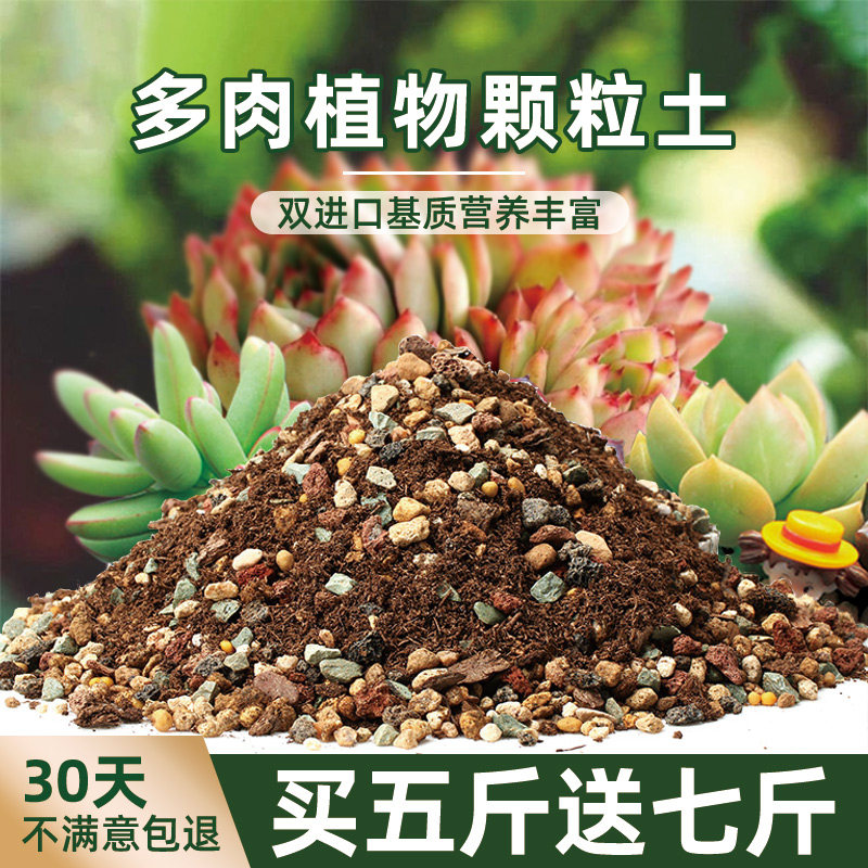 多肉植物营养土专用颗粒土泥炭土多肉叶插换盆土铺面石纯颗粒盆栽