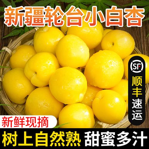 新疆小白杏轮台新鲜水果库车白杏子甜杏特产胜小红杏当季整箱顺丰