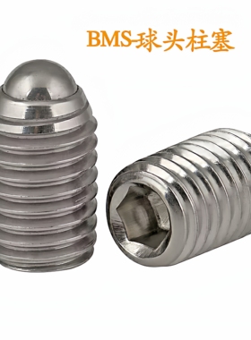 BMS3/4/5/6/8/10/12/16不锈钢球头柱塞 C-BSX10-10P