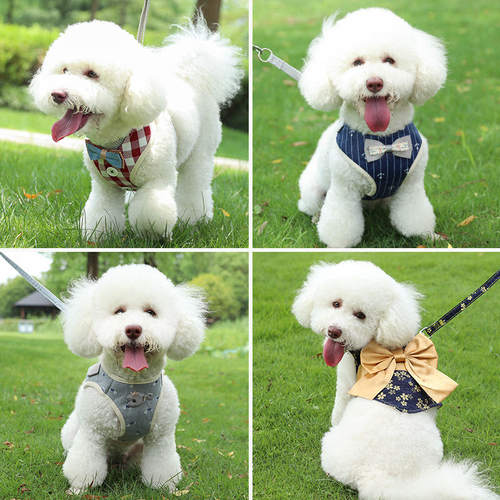 Anti slip dog chest harness, Teddy Pomeranian dog leash, ou