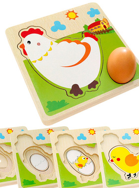 Children's wooden hen laying eggs, growth cycle, multi-laye