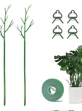 Plant bracket, climbing frame, gardening bracket, flower su