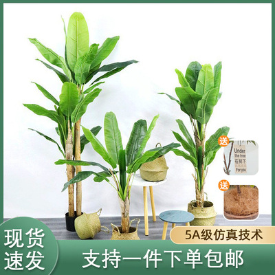 Large scale simulation plant banana tree potted display win