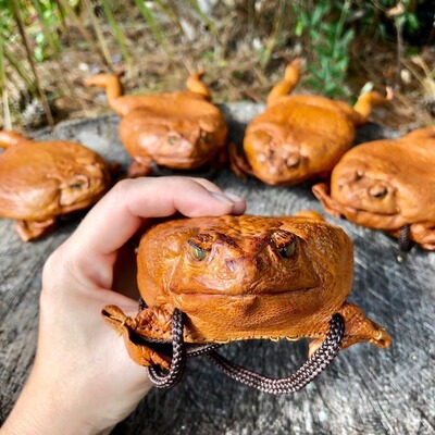 New Sugar Cane Toad Full body Purse 2024 Toad Full body Wal