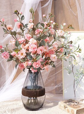 Changzhi 2-Forked Forest Italo Mountain Camellia Simulation