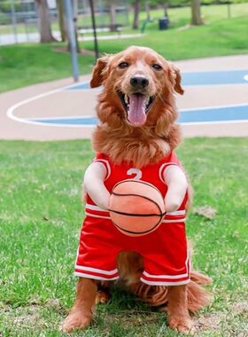 Dog Basketball Costume with Ball