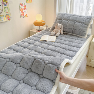 A-class Teddy Velvet Cotton Mattress, Solid Color Mattress