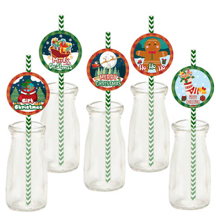 Santa Claus Snowman Elk Party Disposable Straw Flag Christm