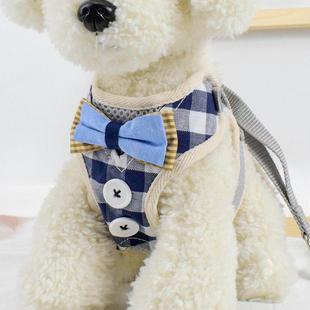 Gentleman Button Small and Medium sized Dog Traction Chest