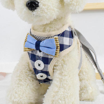 Gentleman Button Small and Medium sized Dog Traction Chest