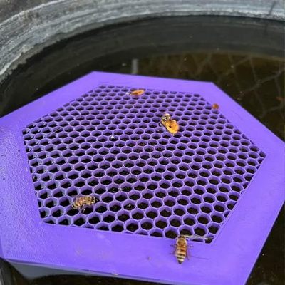 Printed floating bee island, bee honey feeding