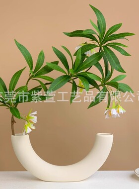 Indoor green plants, water stones, banyan trees, fresh arti