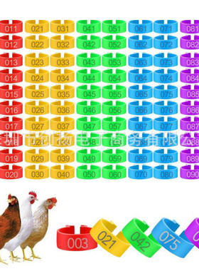 Checkpoint digital recognition ring, hen rooster opening fo